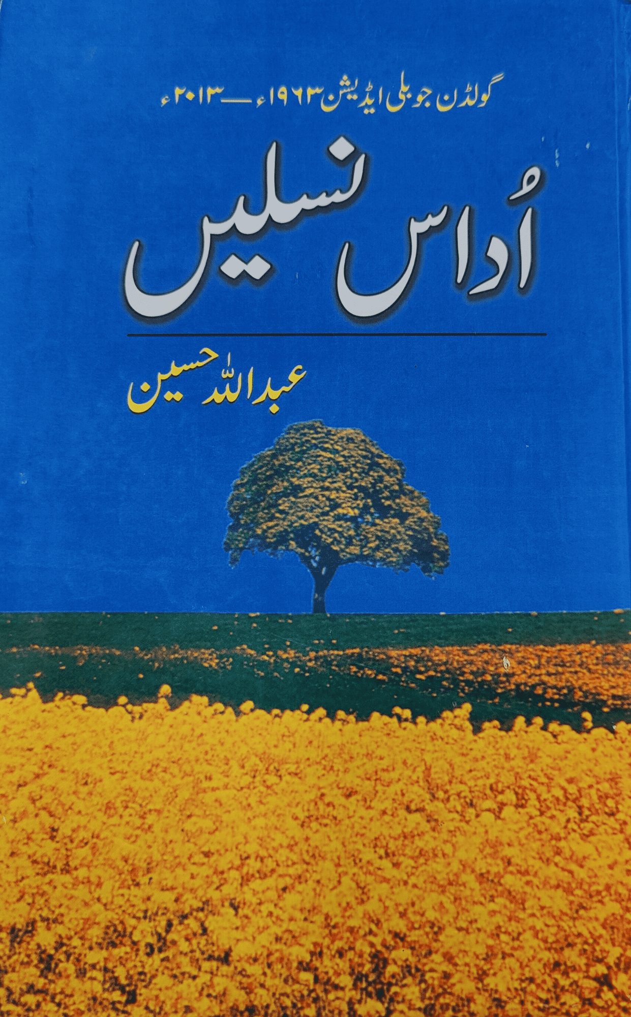 Udaas Naslain